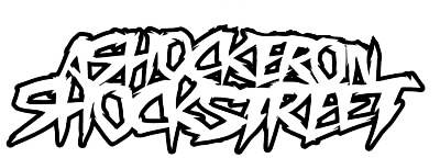 logo A Shocker On Shock Street